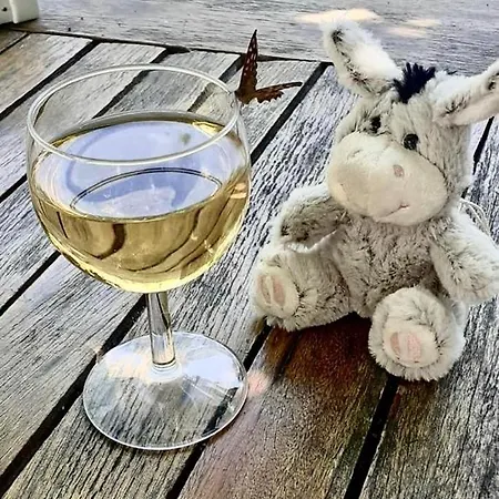 Apartamento Elegant Avec Vue Sur Le Port Saint-Martin-de-Ré