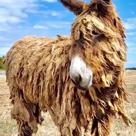 Apartamento Elegant Avec Vue Sur Le Port *