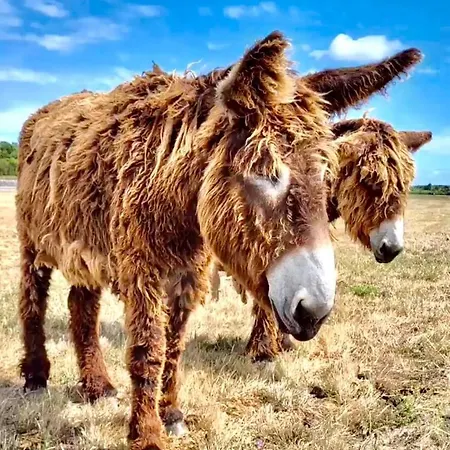 Apartamento Elegant Avec Vue Sur Le Port Saint-Martin-de-Ré